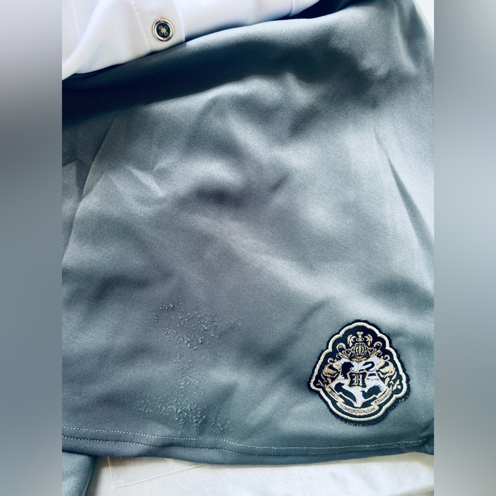 HARRY POTTER RAVEN CLAW STUDENT COSTUME - Picture 9 of 12